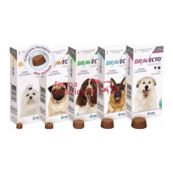 Comprimidos antiparasitarios Bravecto